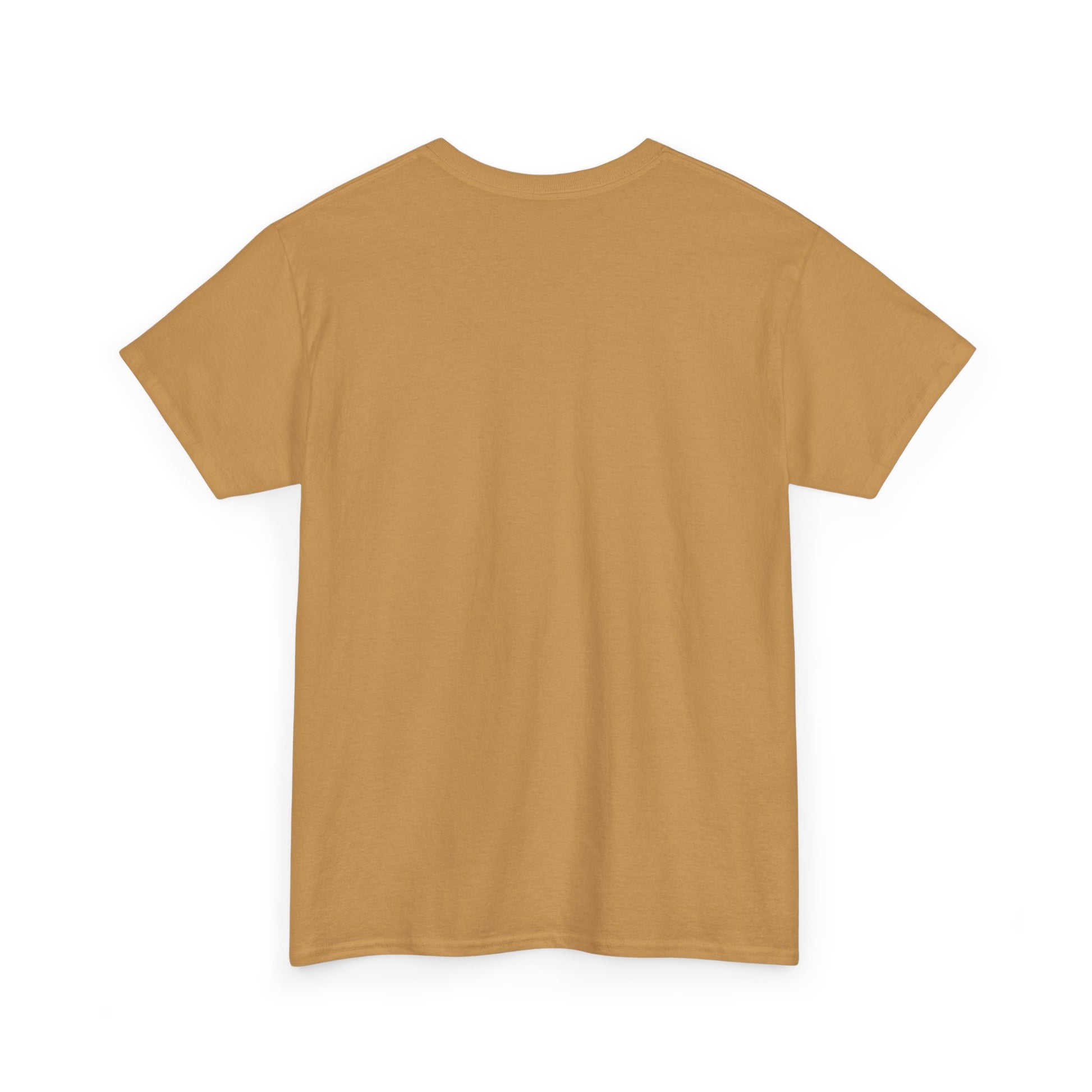 Limited Edition Money Graphic Male Heavy Cotton Tee
