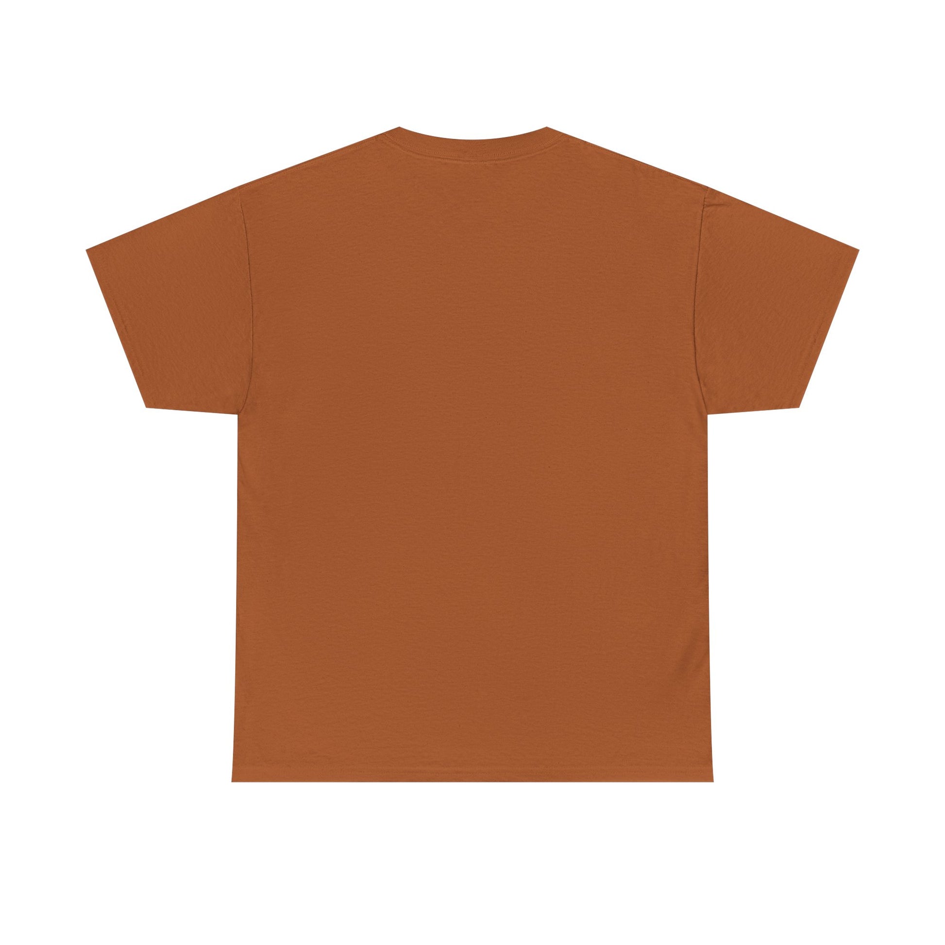 Limited Edition Money Graphic Male Heavy Cotton Tee