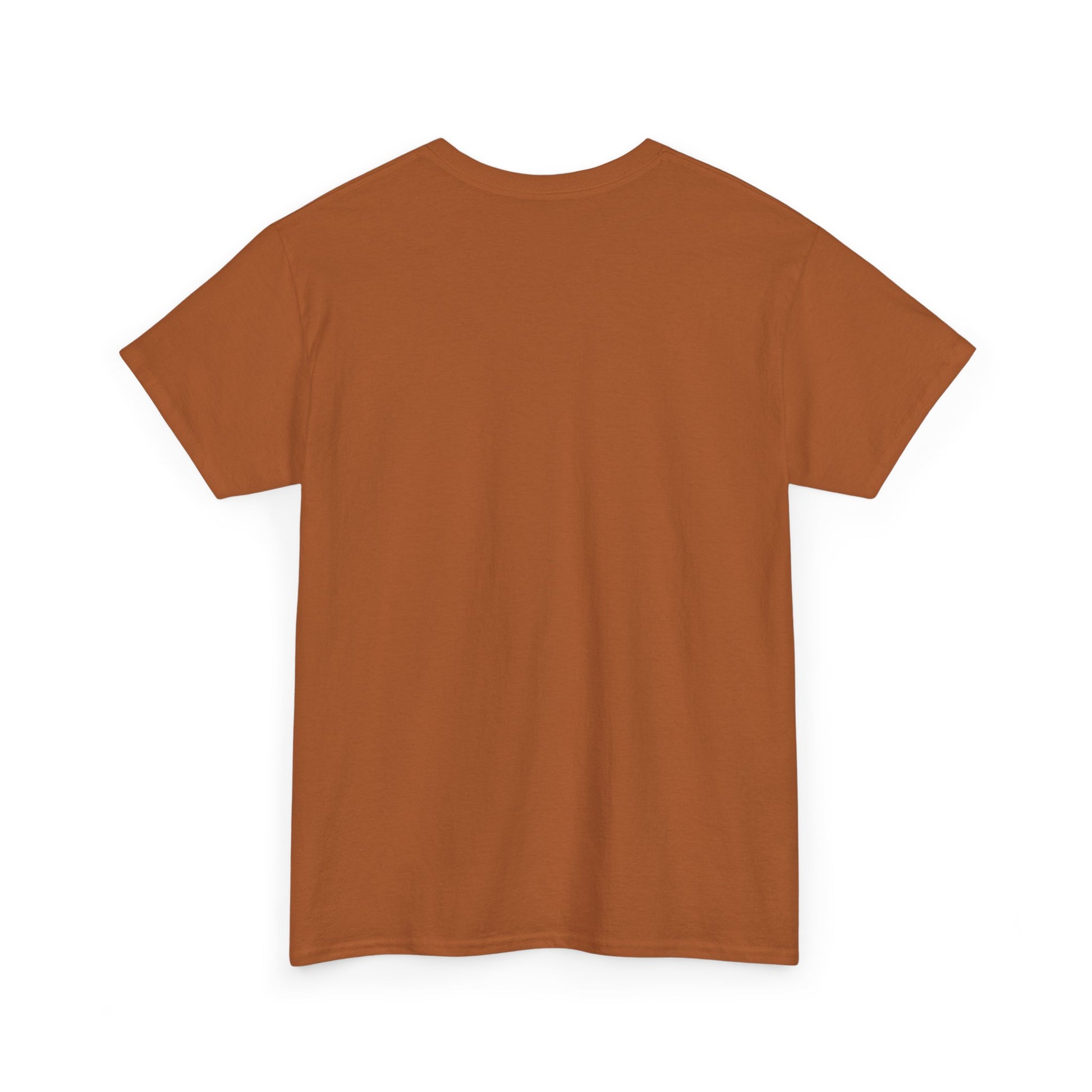 Limited Edition Money Graphic Male Heavy Cotton Tee