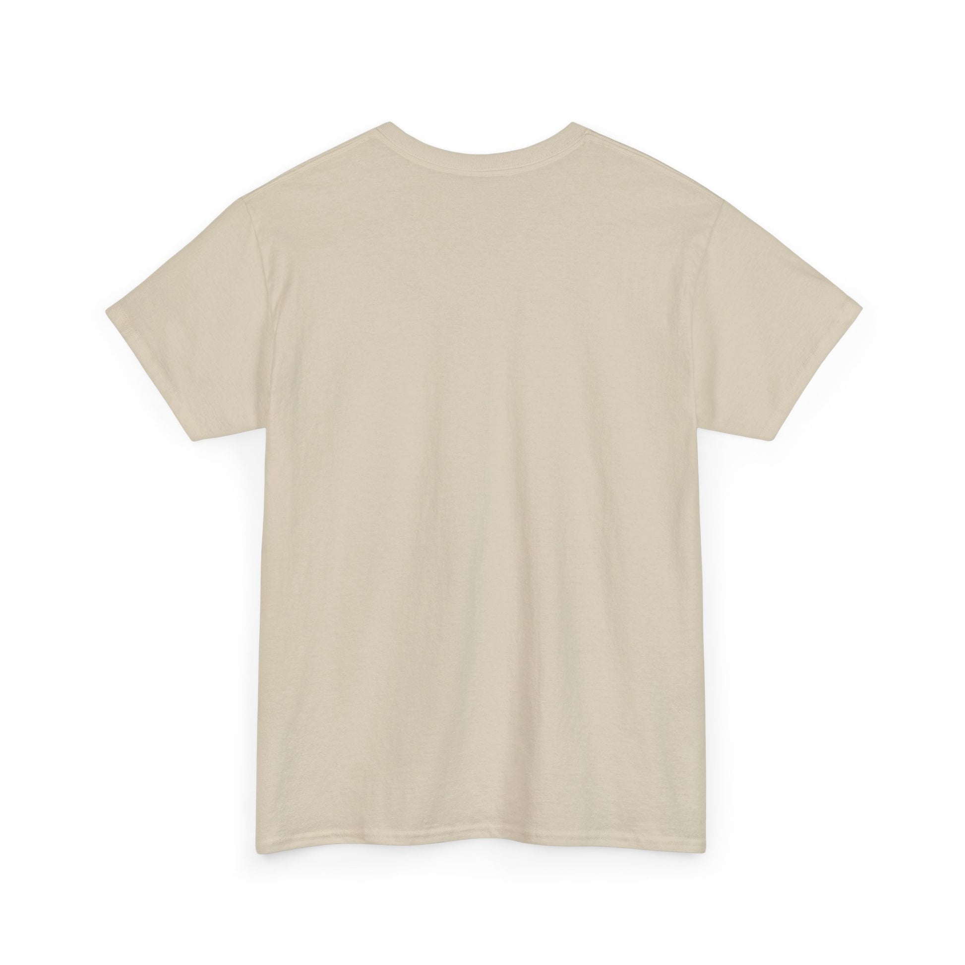 Limited Edition Money Graphic Male Heavy Cotton Tee