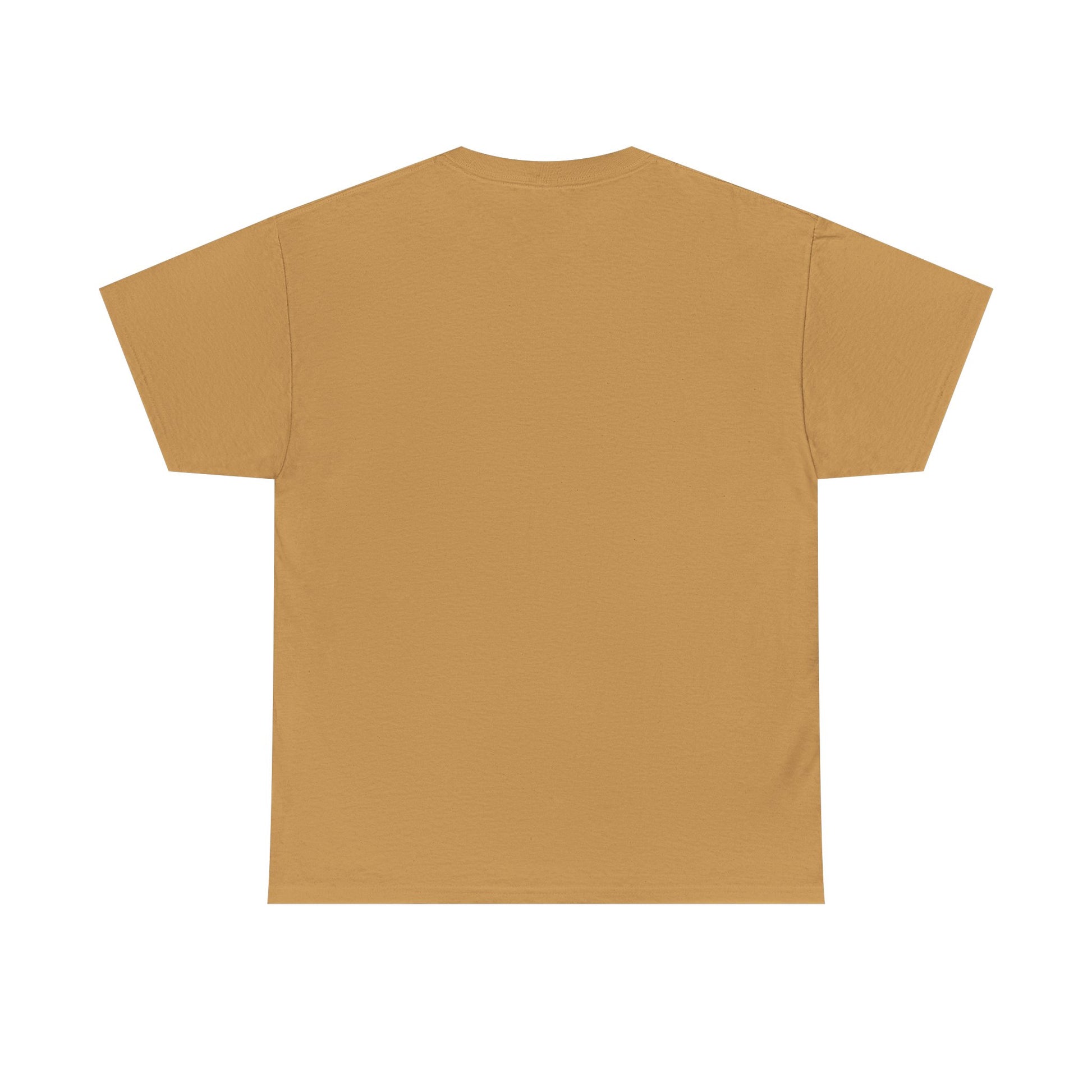 Limited Edition Money Graphic Male Heavy Cotton Tee